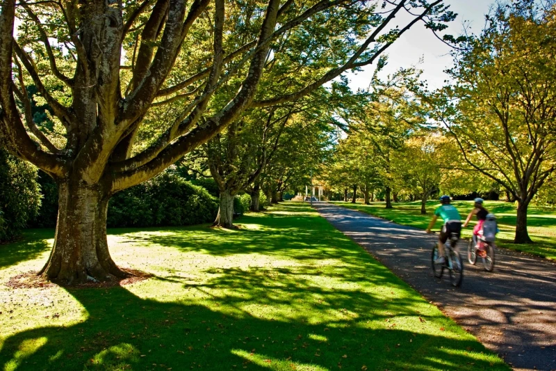 queens-park-southland-new-zealand-credit-jeremy-pierce-4