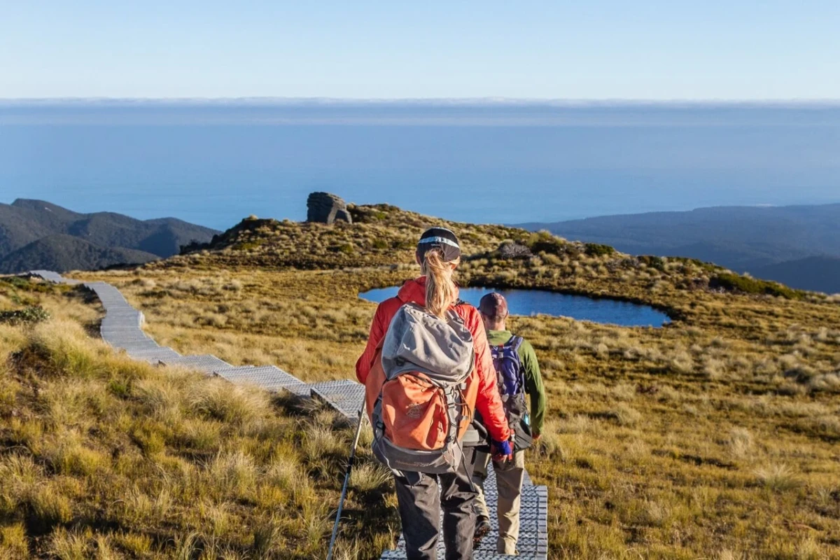 Hump Ridge Track Southland New Zealand Credit Pink Penguin Studio 3 1