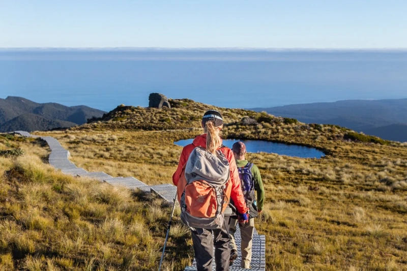 Hump Ridge Track Southland New Zealand Credit Pink Penguin Studio 3 1