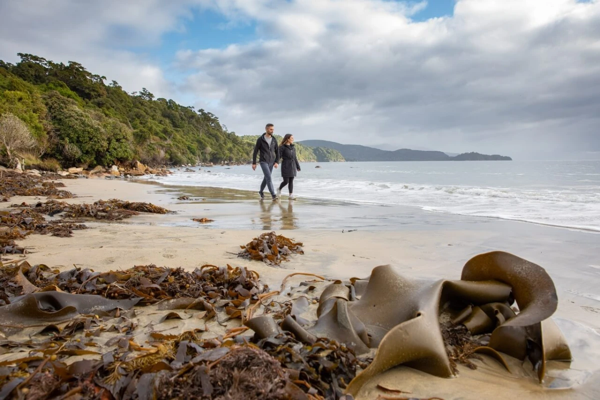 Stewart Island Southland New Zealand Credit Air New Zealand 29