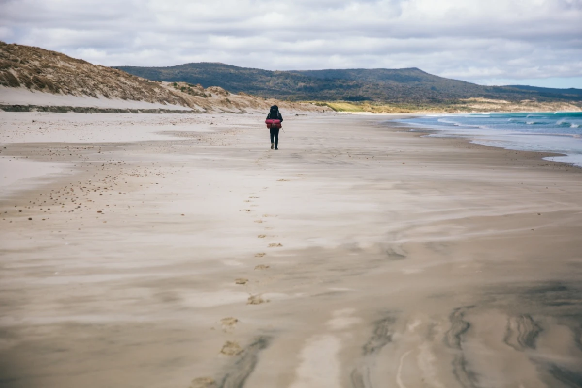 Stewart Island Southland New Zealand Credit Liz Carlson 5