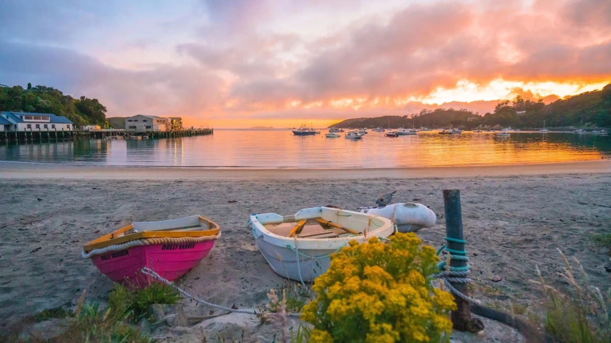 stewart island southland new zealand credit great south boats