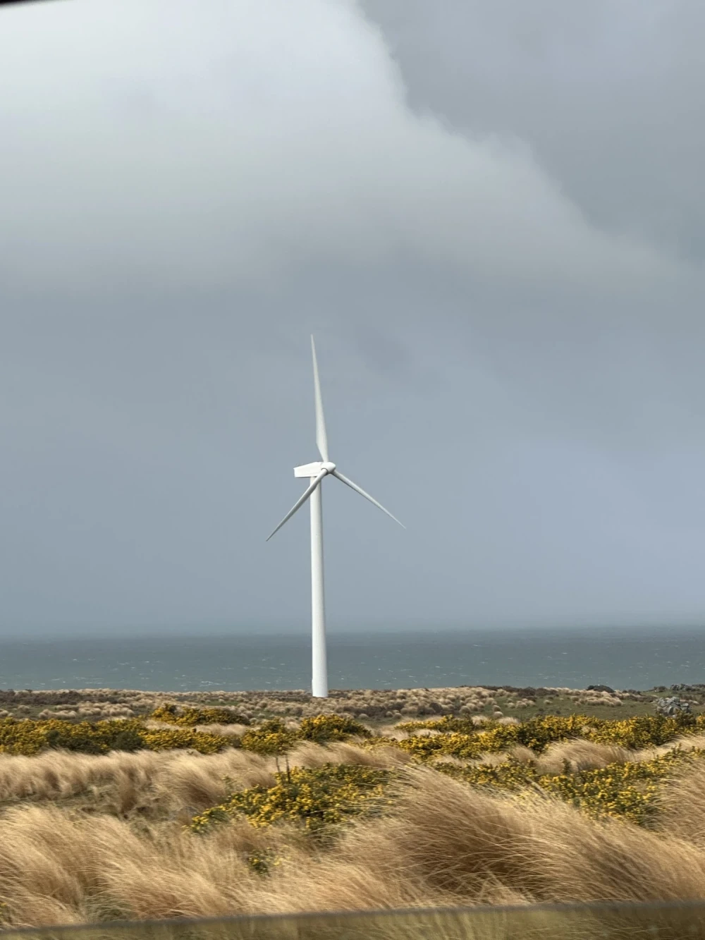 wind f2